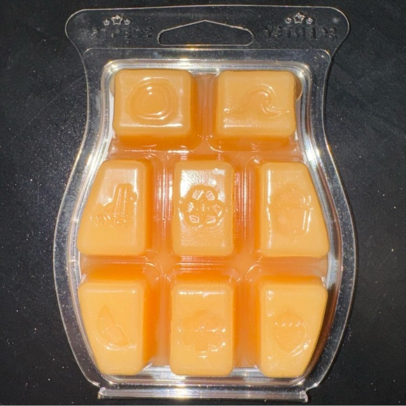 Scentsy Blond Wood & Moonflower Wax Bar - Picture 3 of 4